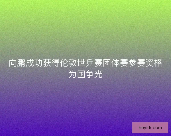 向鹏成功获得伦敦世乒赛团体赛参赛资格为国争光